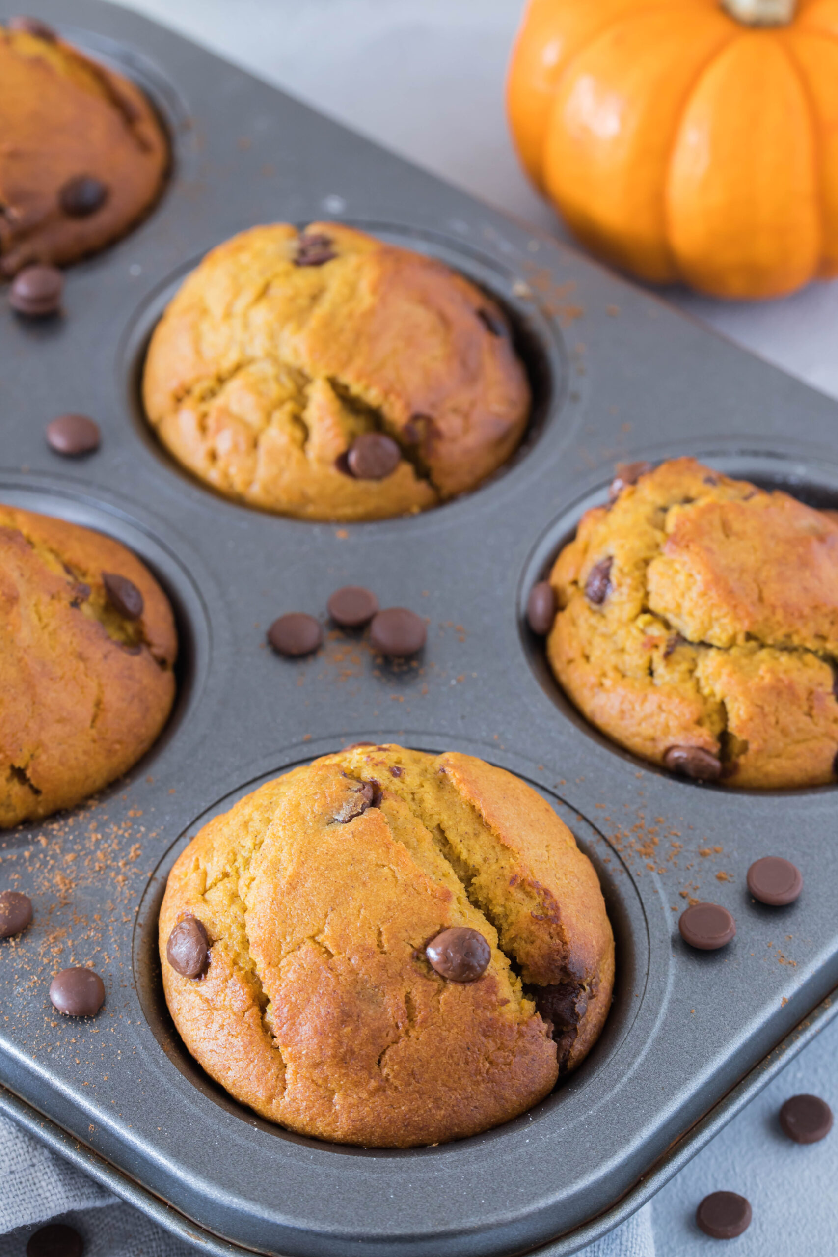 Leckere, süße Muffins mit Kürbis - einfach, schnell und lecker. 